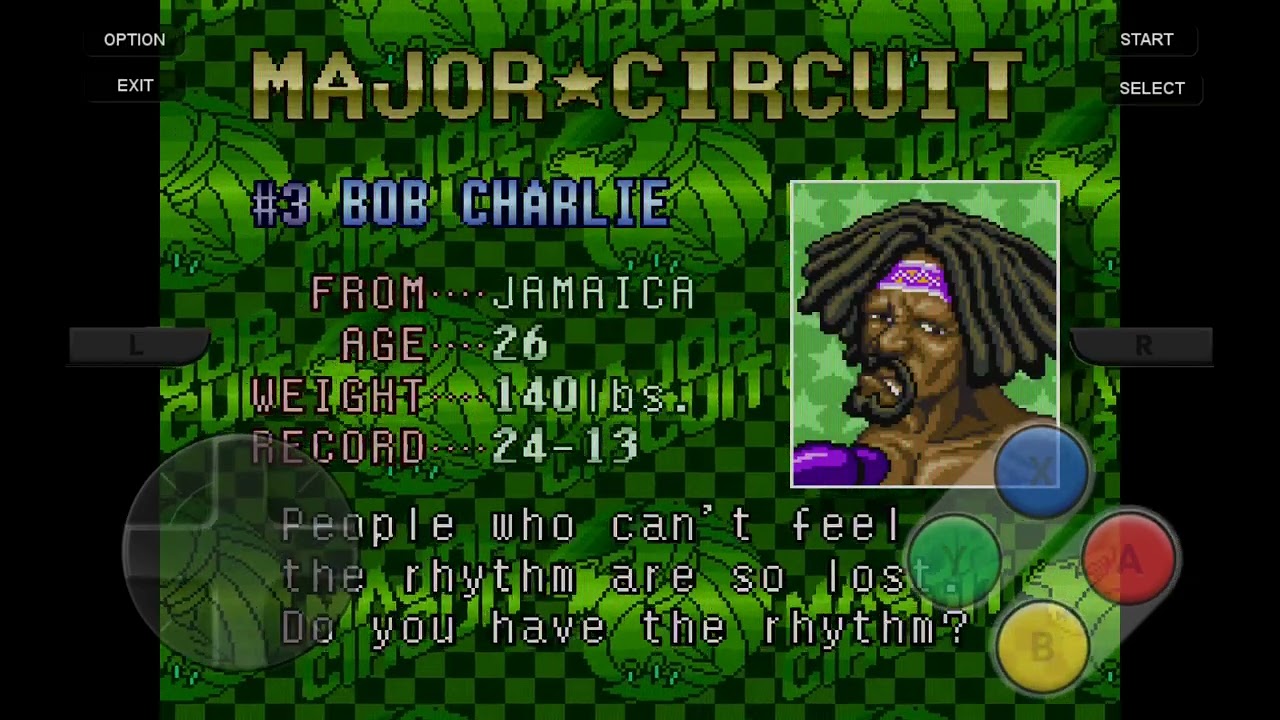Super punch-out 