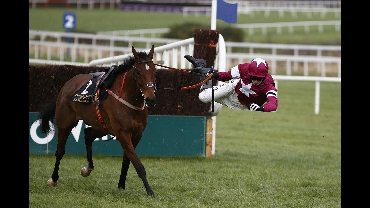 At The Races: Thrills and spills!
