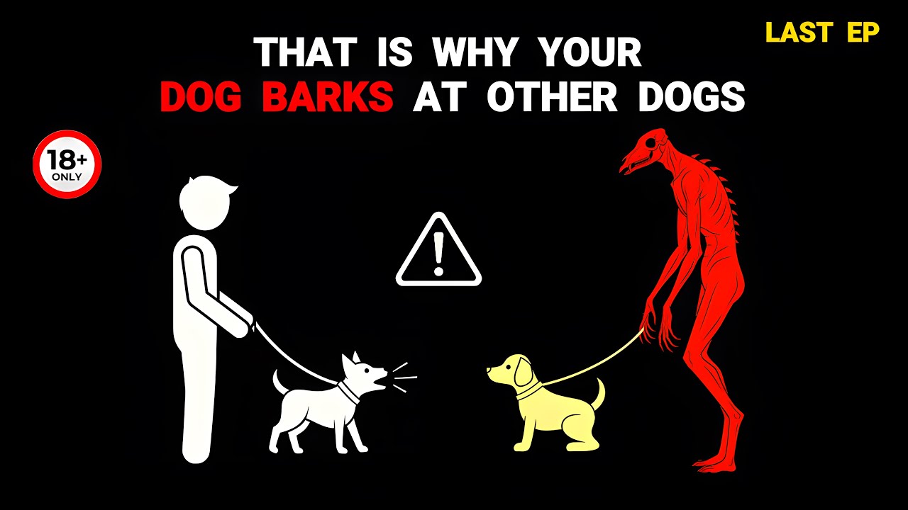 If Your Dog Barks At Other Dogs&hellip; ONE OF THEM ISN&rsquo;T REAL &ndash; Analog Horror