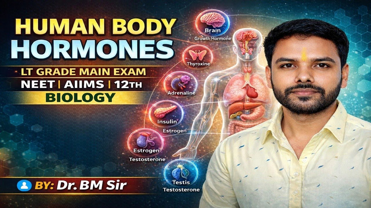 Human body hormone  || Exocrine glands || Endocrine glands || cerebrum thalamus Hypothalamus 