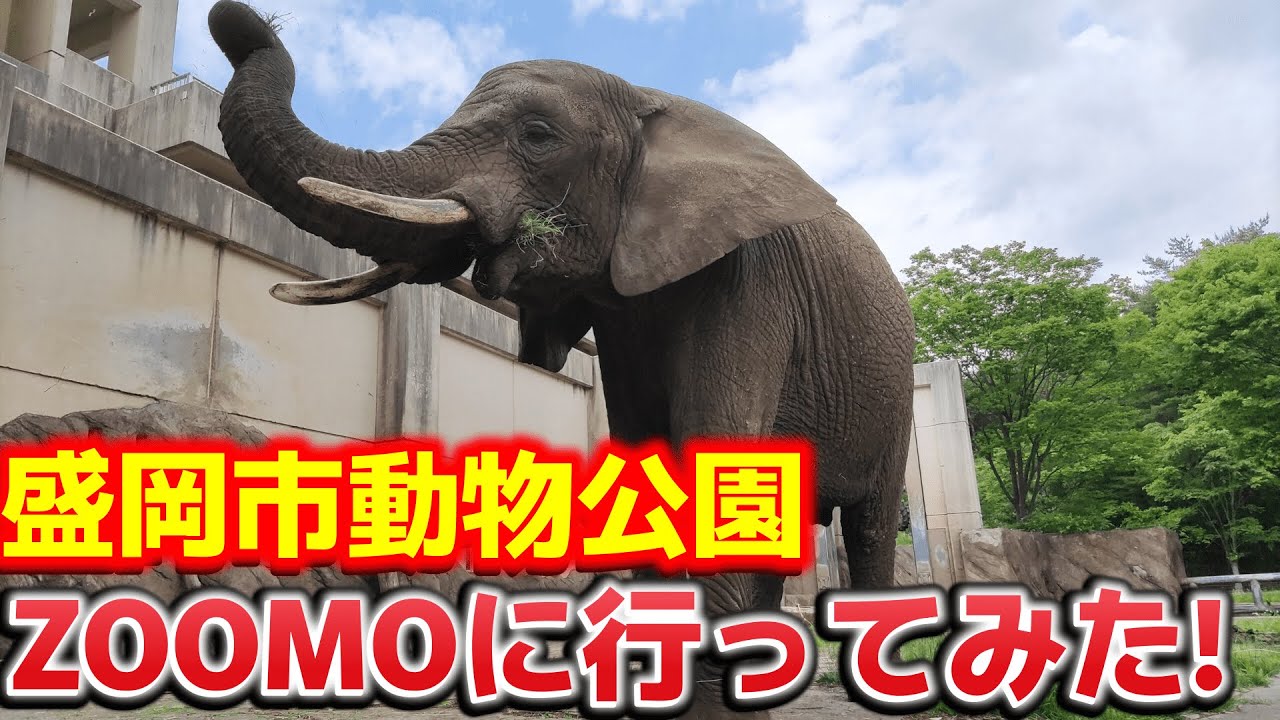 盛岡市動物公園ZOOMOに行ってきた！