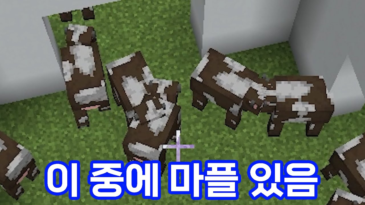 이 녀석 소띠라고 소처럼 행동 겁나 잘하네;; - 라스트 소탠딩 (마인크래프트)