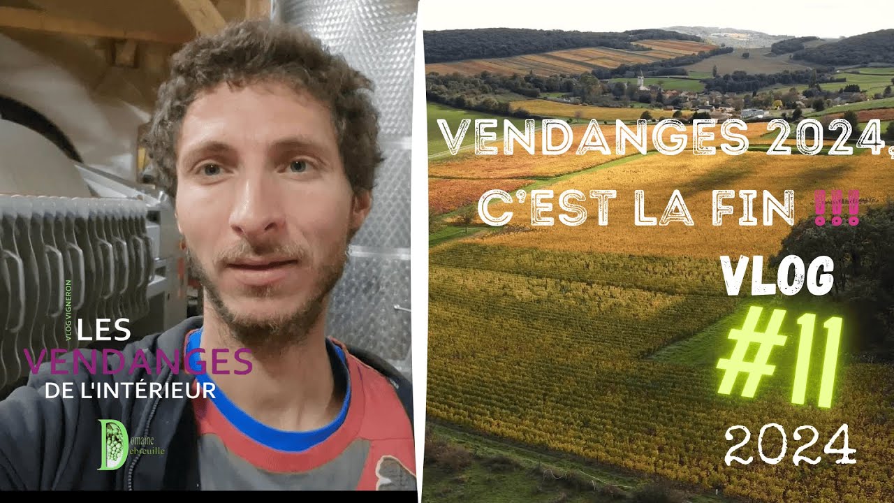 Vlog vigneron #11 :  Dernier décuvage, fin des vendanges 2024 !!! Débourbage difficile
