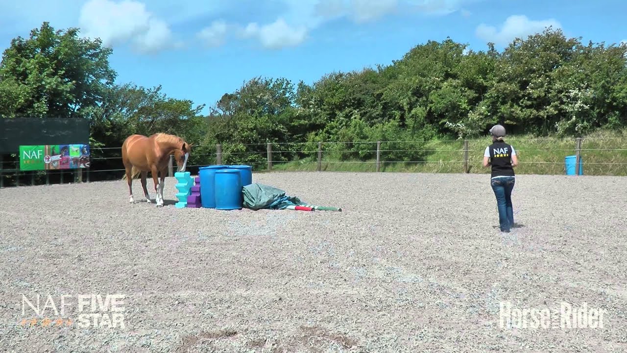 Emma Massingale &ndash; How to catch a horse