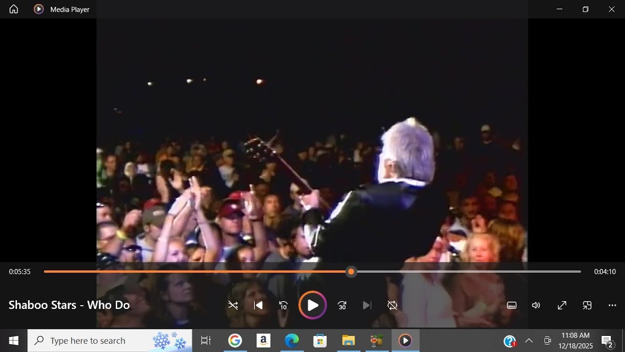 Shaboo Inn All Stars 15 piece horn band doing 