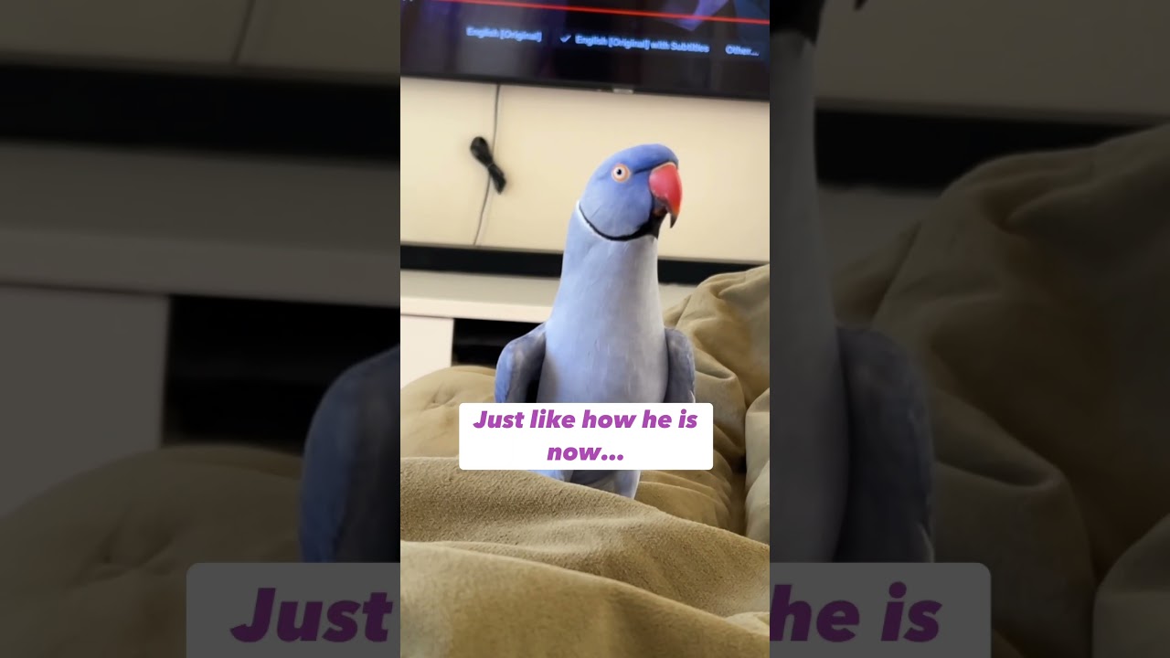 He checks in on me!