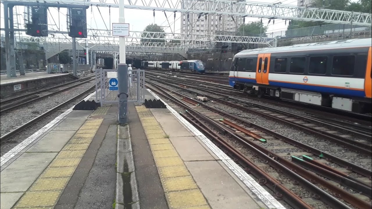 Trains at London Euston. WCML/WDCL. 15/10/2024.