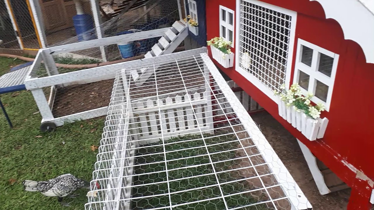 Casinhas para coelhos e galinheiros artesanais
