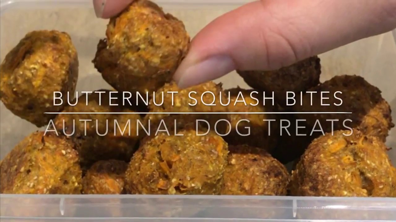 Homemade Dog Treats: Butternut squash bites