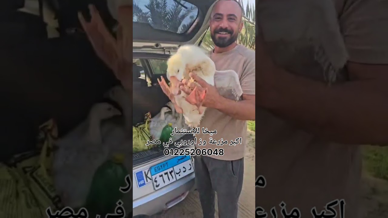 تابع صفحتتا على فيس بوك ( ميخا للإستثمار ) وللتواصل واتساب01225206048