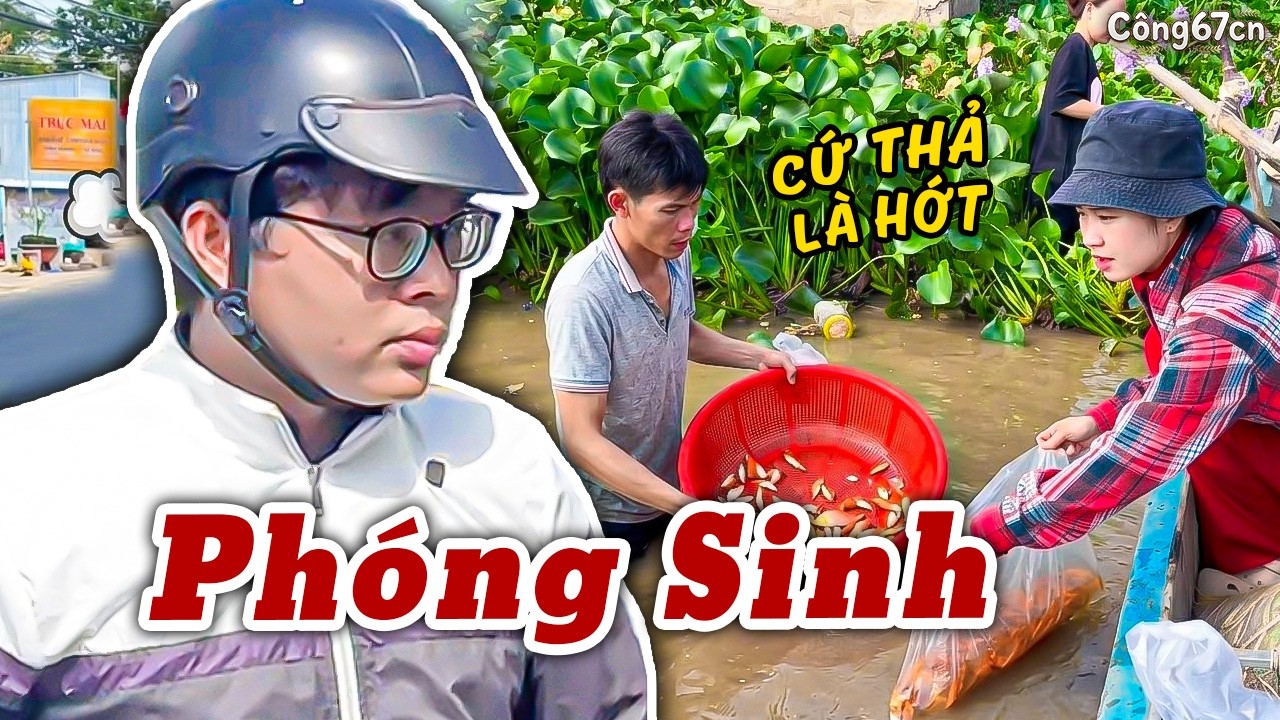 Cạn Lời Cầm Cá Đi Phóng Sinh Bao Nhiêu Bị Hốt Hết Bấy Nhiêu | Công67cn
