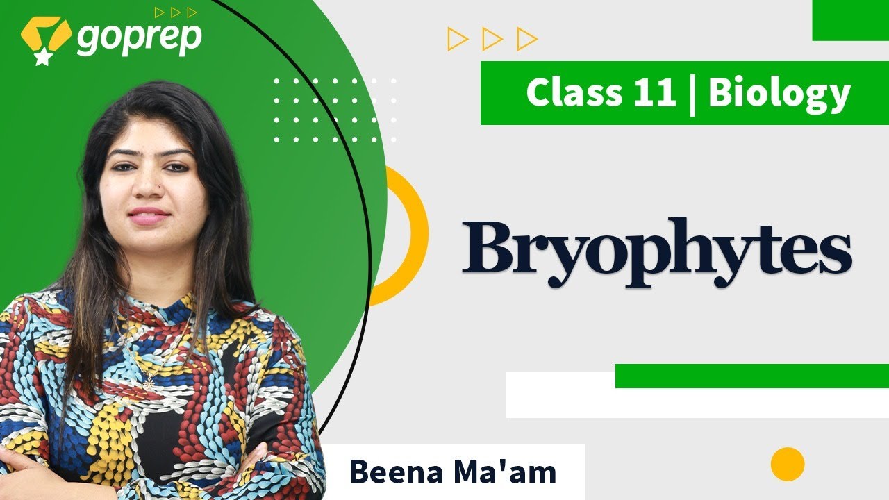 Bryophytes | Class 11 Biology | NEET 2022 | Bioguru | Beena Rao | Goprep
