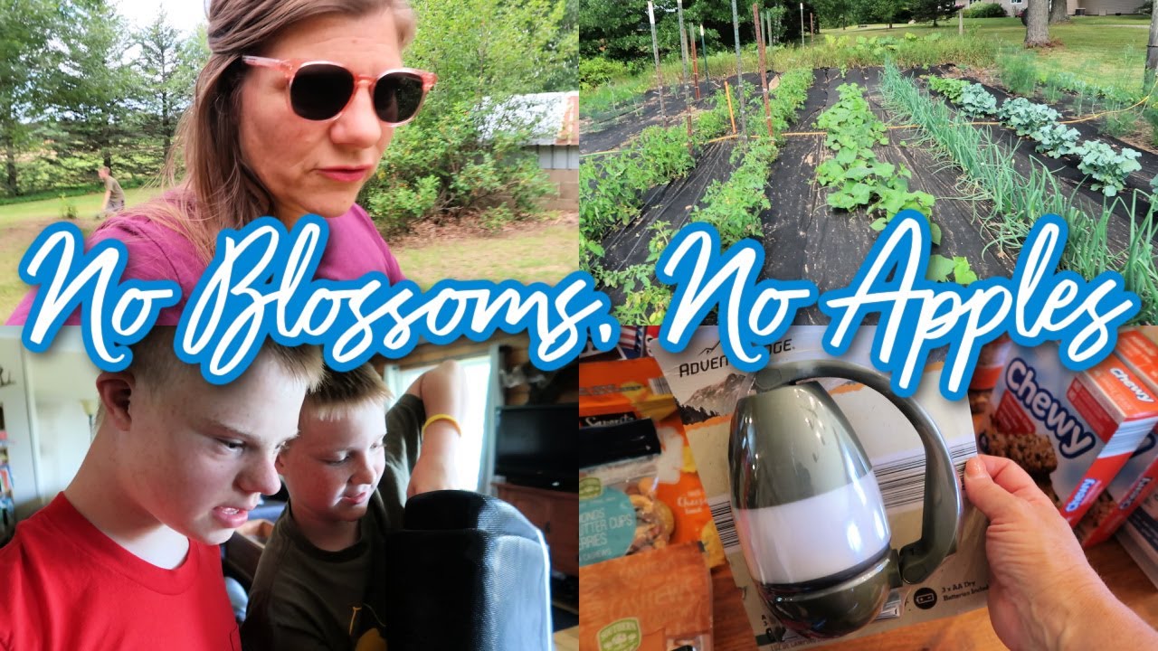 GLASSES, GARDENING & GROCERIES | Country Mom Day in the Life