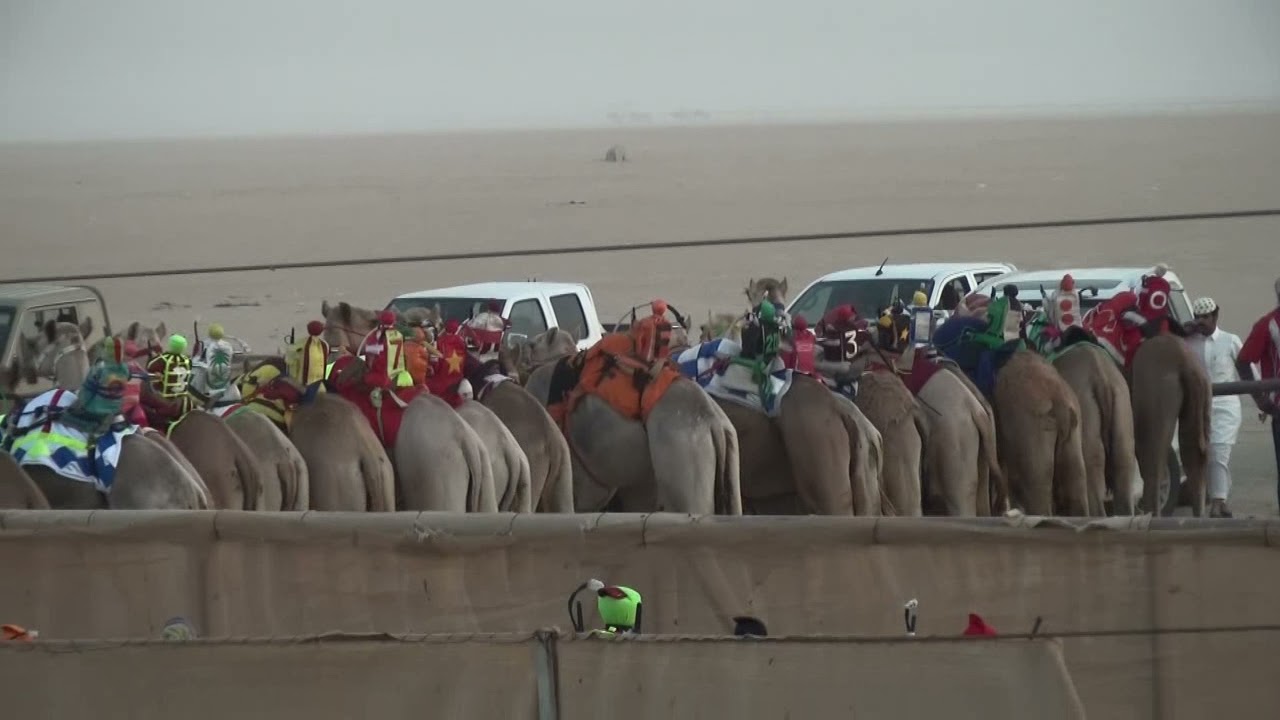 1 العاصيه ملك صالح بن مبارك النهدي