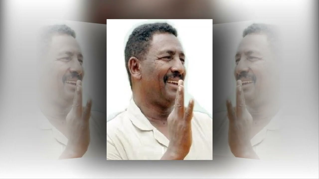 الرشيم الأخضر ● عبدالله عبدالقادر 