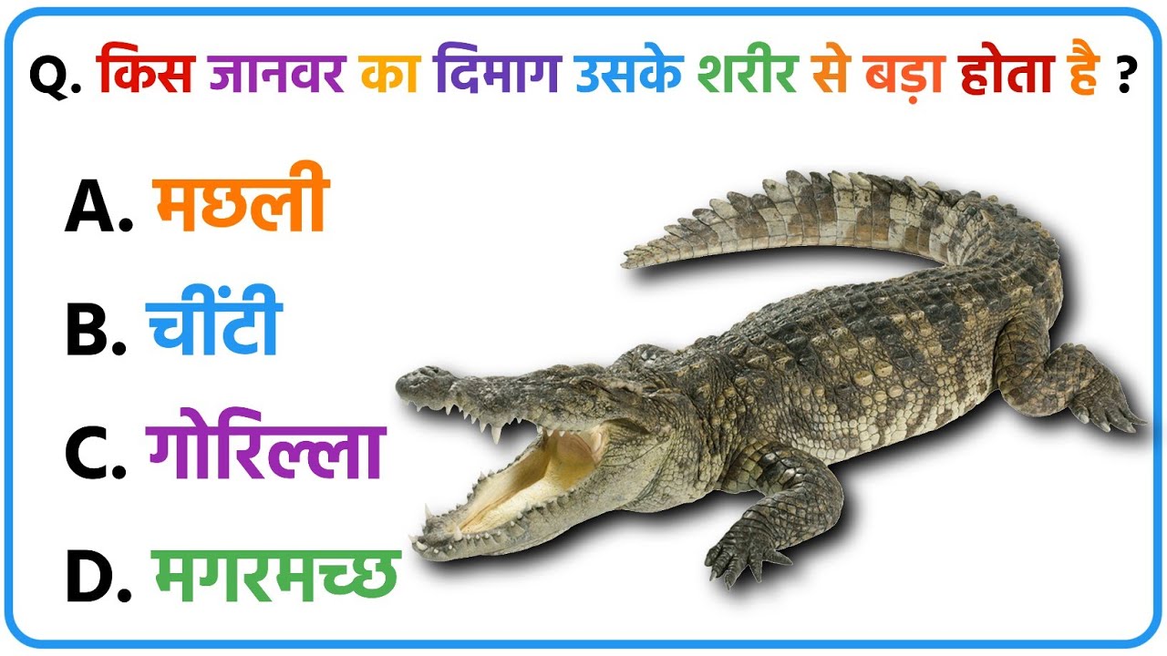 99% लोग फेल 😲 क्या आप इन 10 GK सवालों का सही जवाब दे पाएंगे? | GK Quiz Part 1 #gk #gkquiz