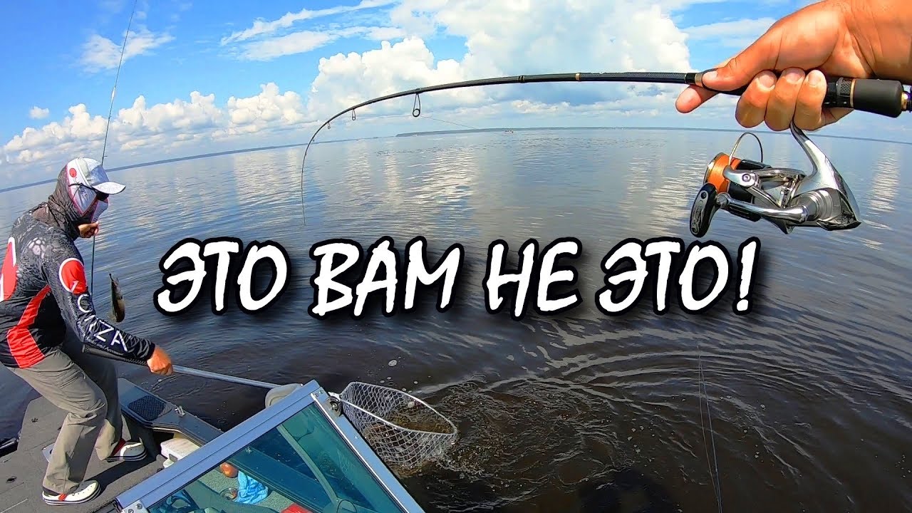 Веселая рыбалка на Киевском Море! Сом, судак, окунь на каждом забросе!)