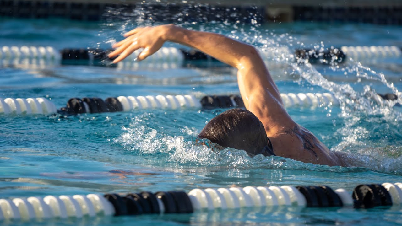 JUST KEEP SWIMMING