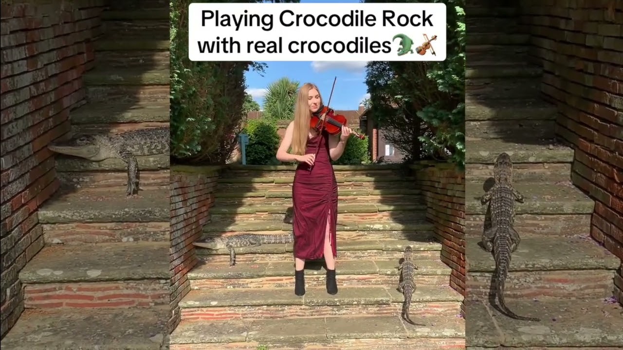 Crocodile Rock performed on violin with REAL CROCODILES | Pippa Griffin