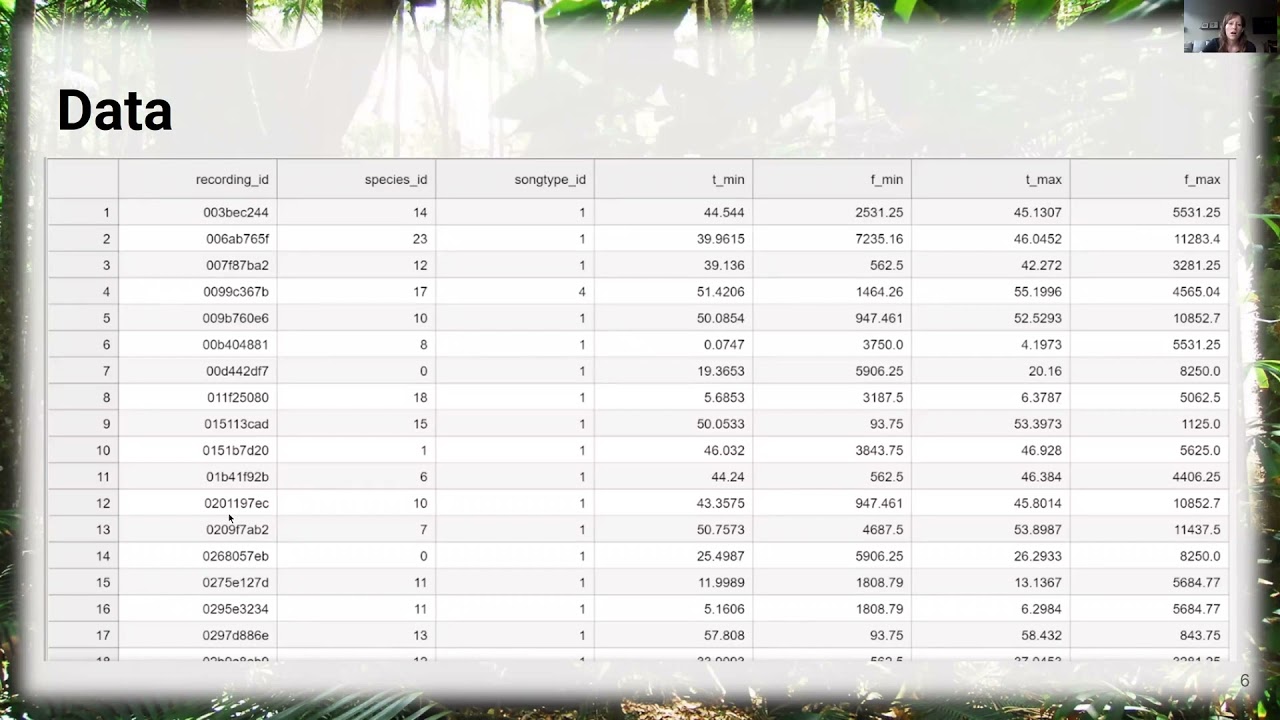 Kaggle meetup: Rainforest Connection species audio detection