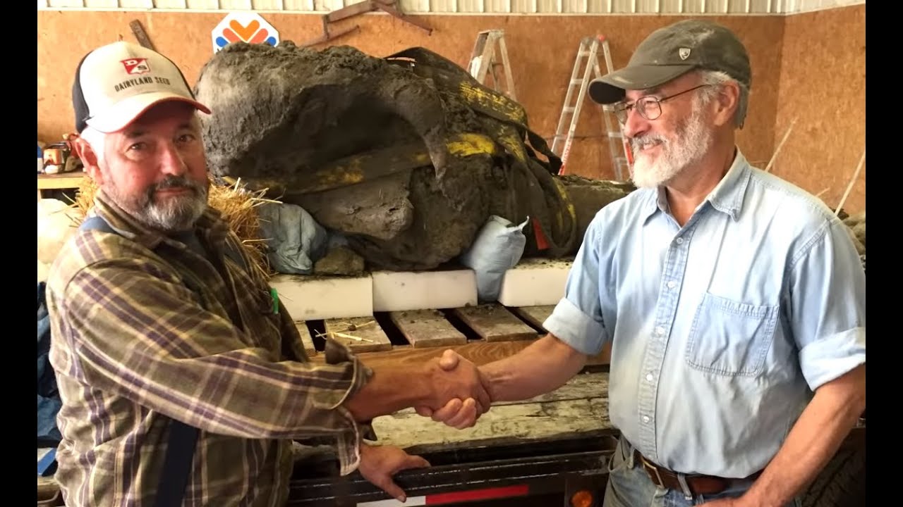 A farmer discovered a mammoth in his field