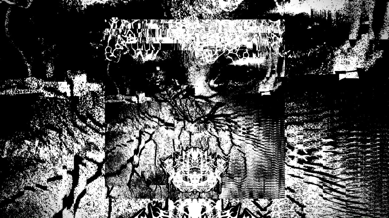 ReZor - GENETIC MUTATION (INFECTED EXCERPT)