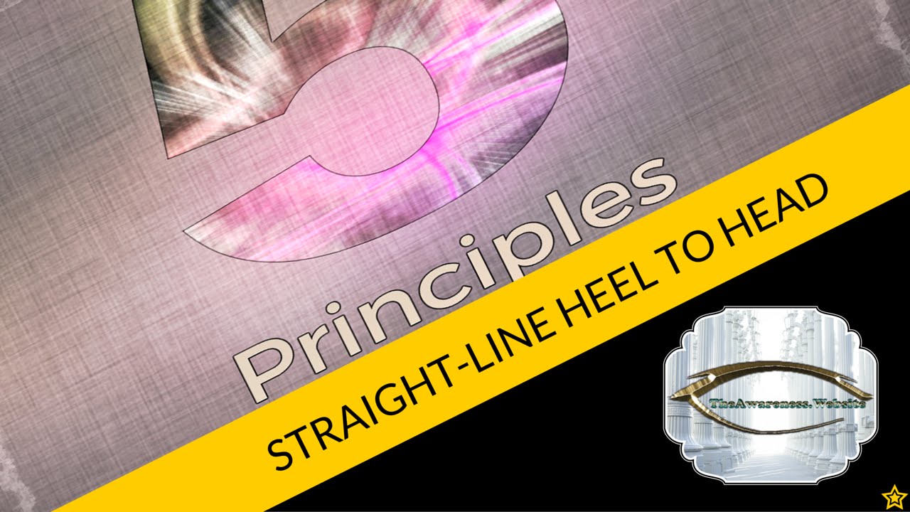 Tai Chi 5 Principles | Straight Line Heel to Head