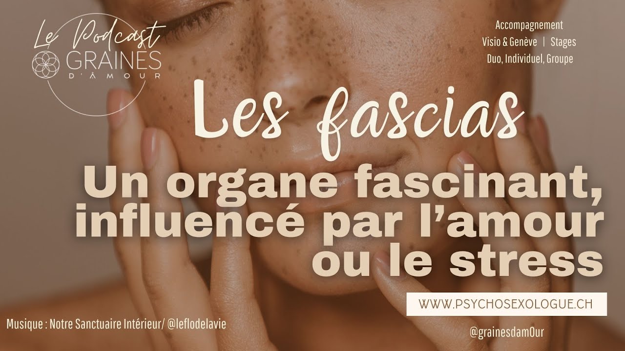Les fascias : organes énergétiques fascinants !
