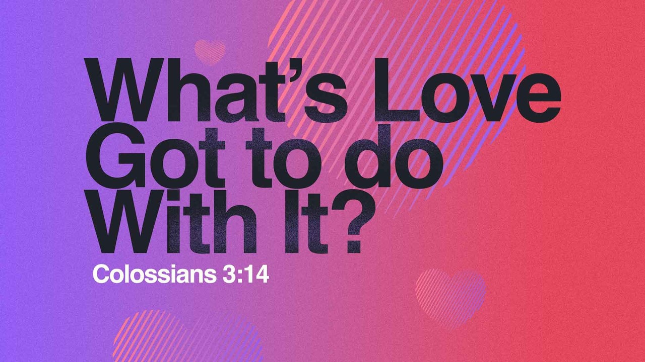 Clothed In Love || What’s Love Got To Do With It? || Part 1