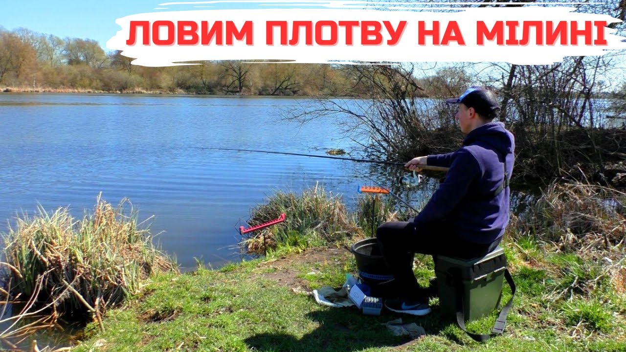Ловимо плотву на ФІДЕР у квітні 2025. Зміна НАЖИВКИ дала результат!