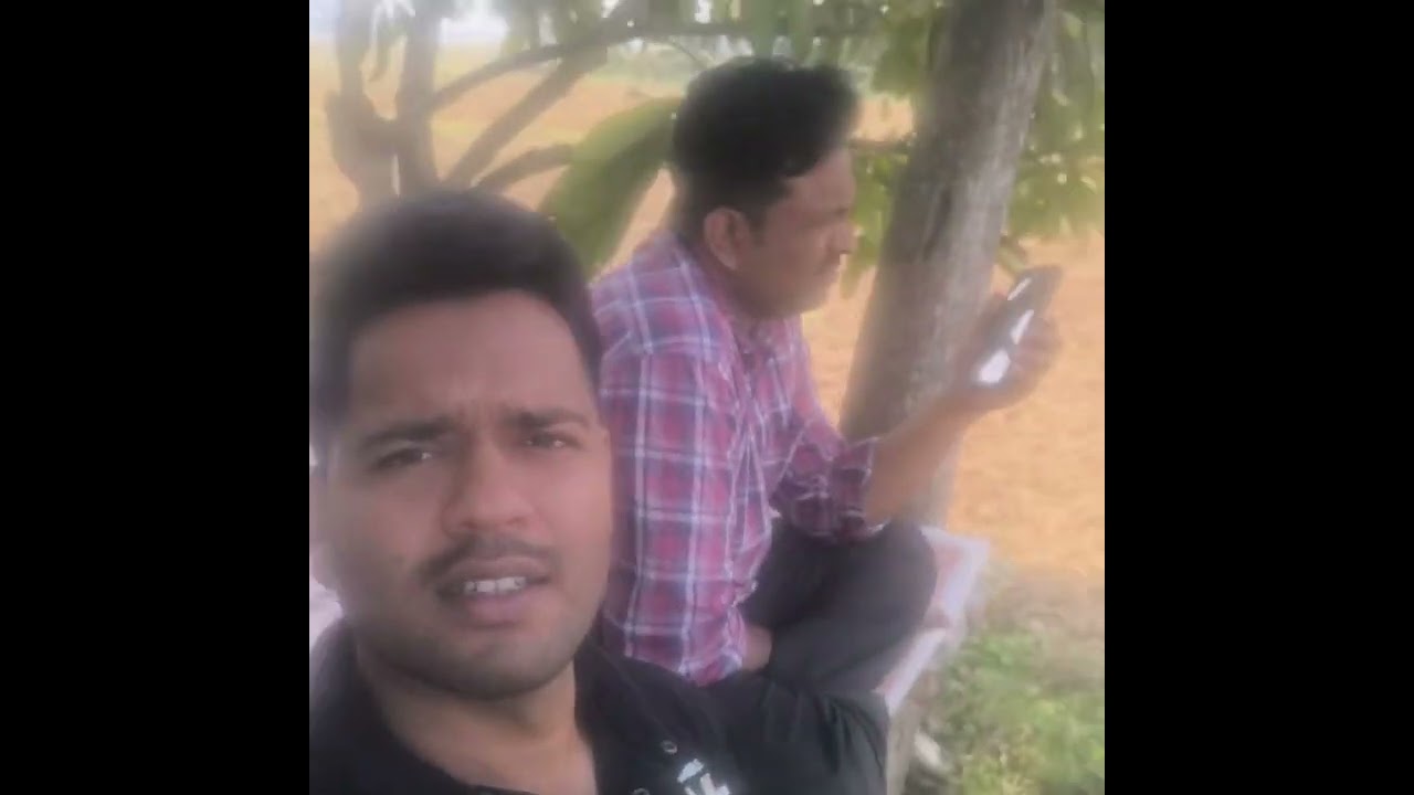 ତୋଟା ରେ କିଏ ବାଉଁଶ🎍ହlଣିଲl? Chiku ର ପରିବା ଚାଷ🥒🥦🫛🫑🥕