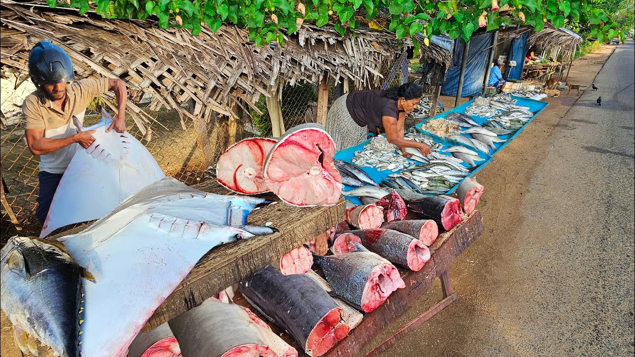 Amazing!! Special Village Most Satisfying Super Streets Fish markets