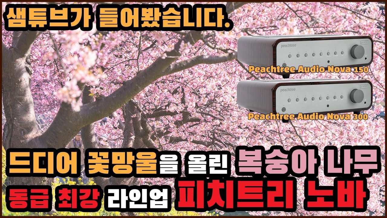 '캐나다 작사 미국 작곡' 피치트리 오디오가 드디어 소리를 들려드립니다. 노바 150과 300 나란히 비교해봤습니다.