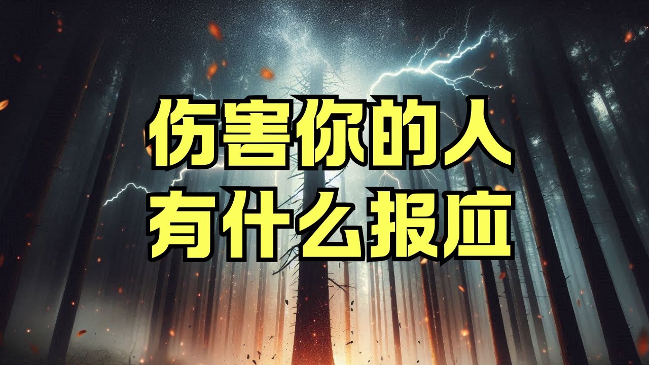 🔮傷害你的人會有什麼報應? |塔羅|