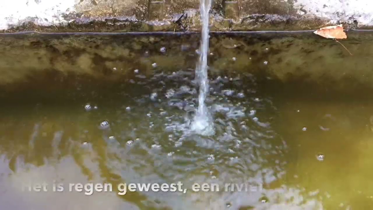 Poëzie op beeld - Rutger Kopland