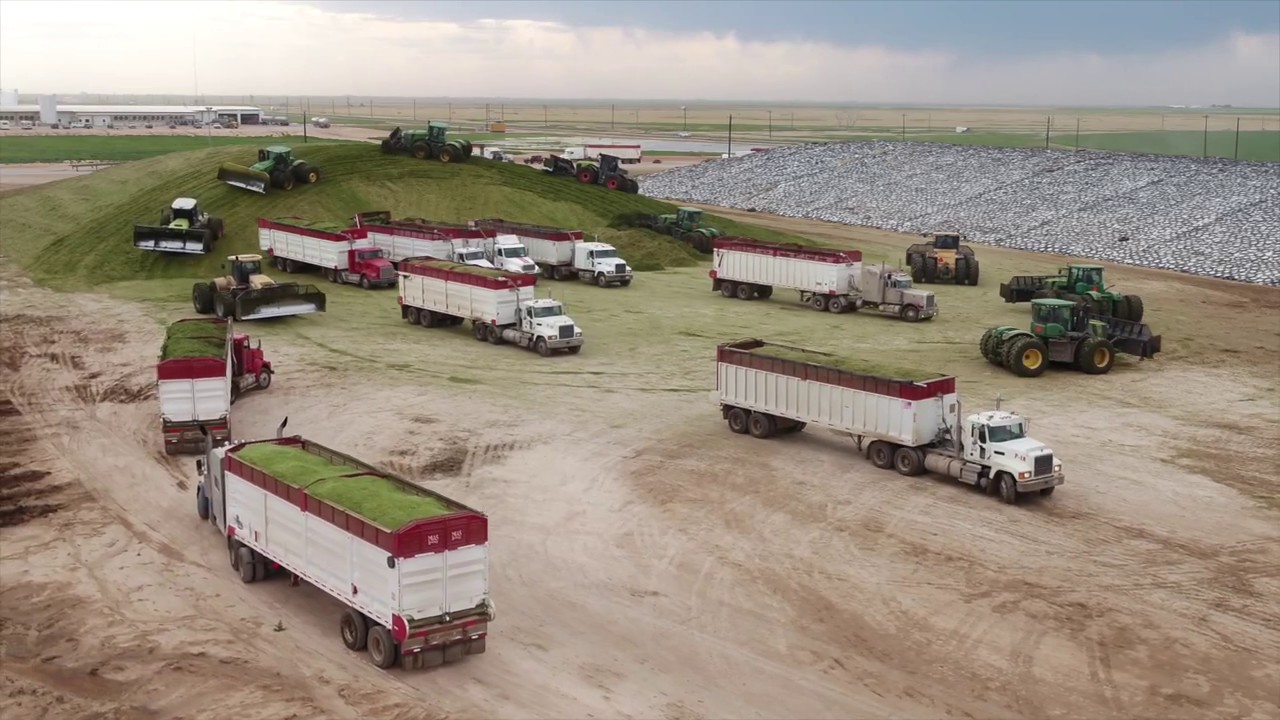 PMS & Harvesting clamping 1200 tonnes per hour in Texas
