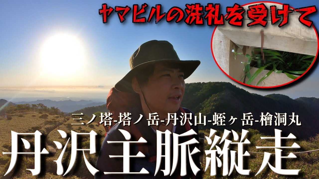 【丹沢主脈縦走】ヤマビルと道迷い…デブが山小屋泊で梅雨入り前に滑り込み登山【三ノ塔-塔ノ岳-丹沢山-蛭ヶ岳-檜洞丸】