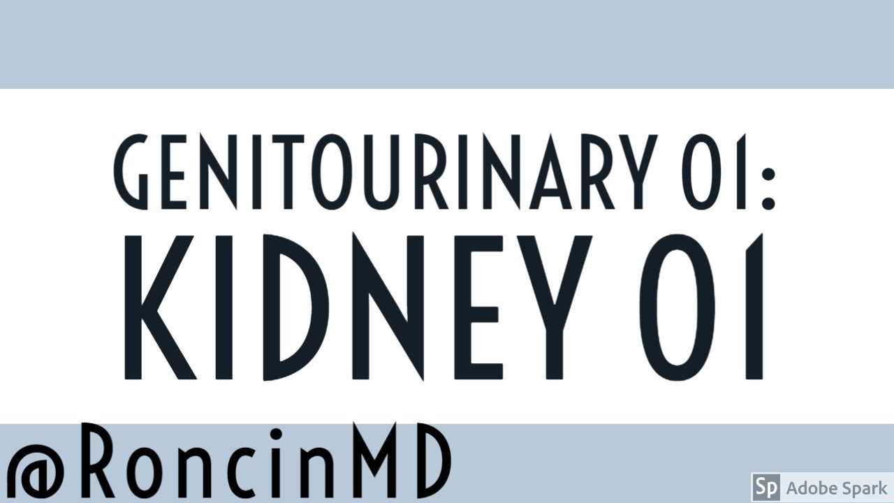 Slide Review: GU 01 - Kidney 01