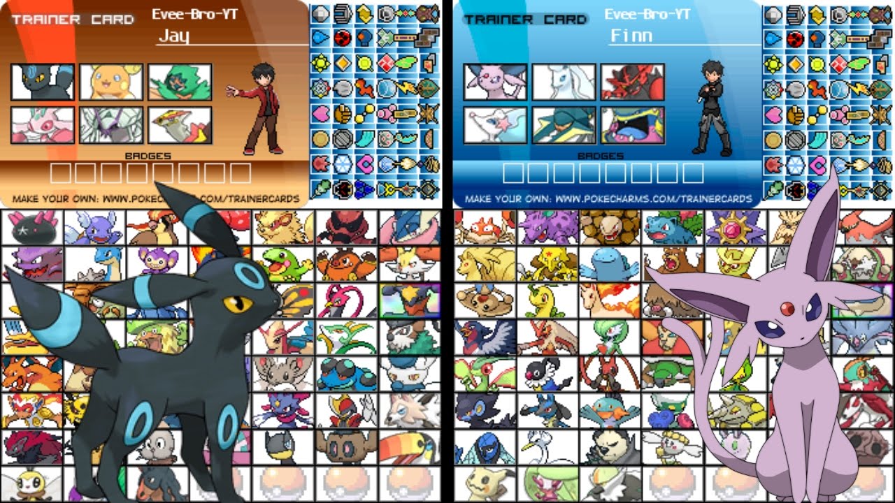 Pokémon Brothers Trainer Card (Alola) - 7