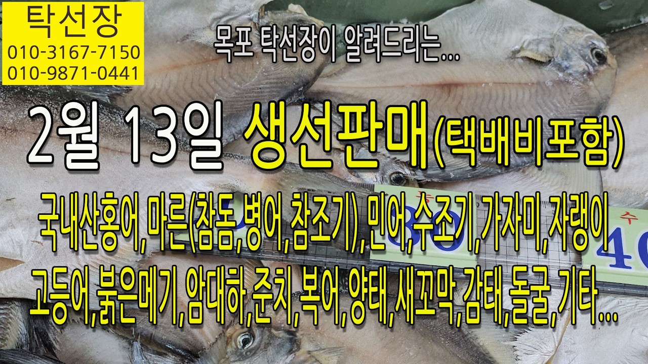 2월 13일, 마른(참돔,병어,참조기), 홍어, 수조기, 민어, 고등어, 가자미, 자랭이, 붉은메기(탁선장 남도농수산 생선카페 010 3167 7150. 010 9871 0441)
