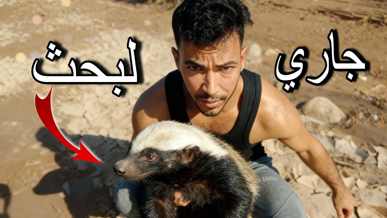 البحث عن عسيلة🗡️ غرير العسل🔥يستحق المشاهدة‼️👌