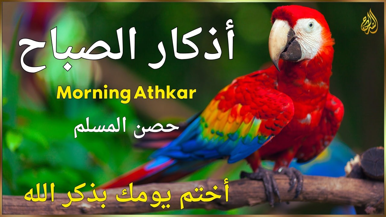 أذكار الصباح بصوت يريح قلبك راحه نفسيه💚حصن نفسك وبيتك من الشيطان علاء عقل Morning adhkar