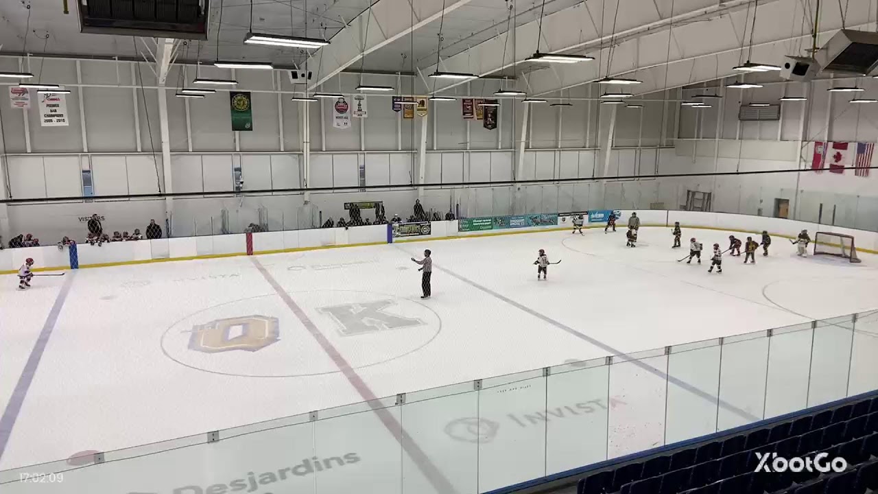 QRD v Kingston