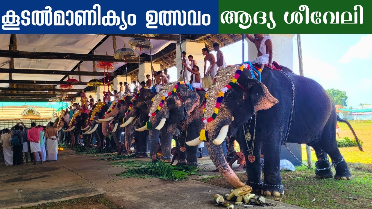 കൂടൽമാണിക്യം ഉത്സവം ആദ്യ ശീവേലി |KOODALMANIKYAM ULSAVAM 2025