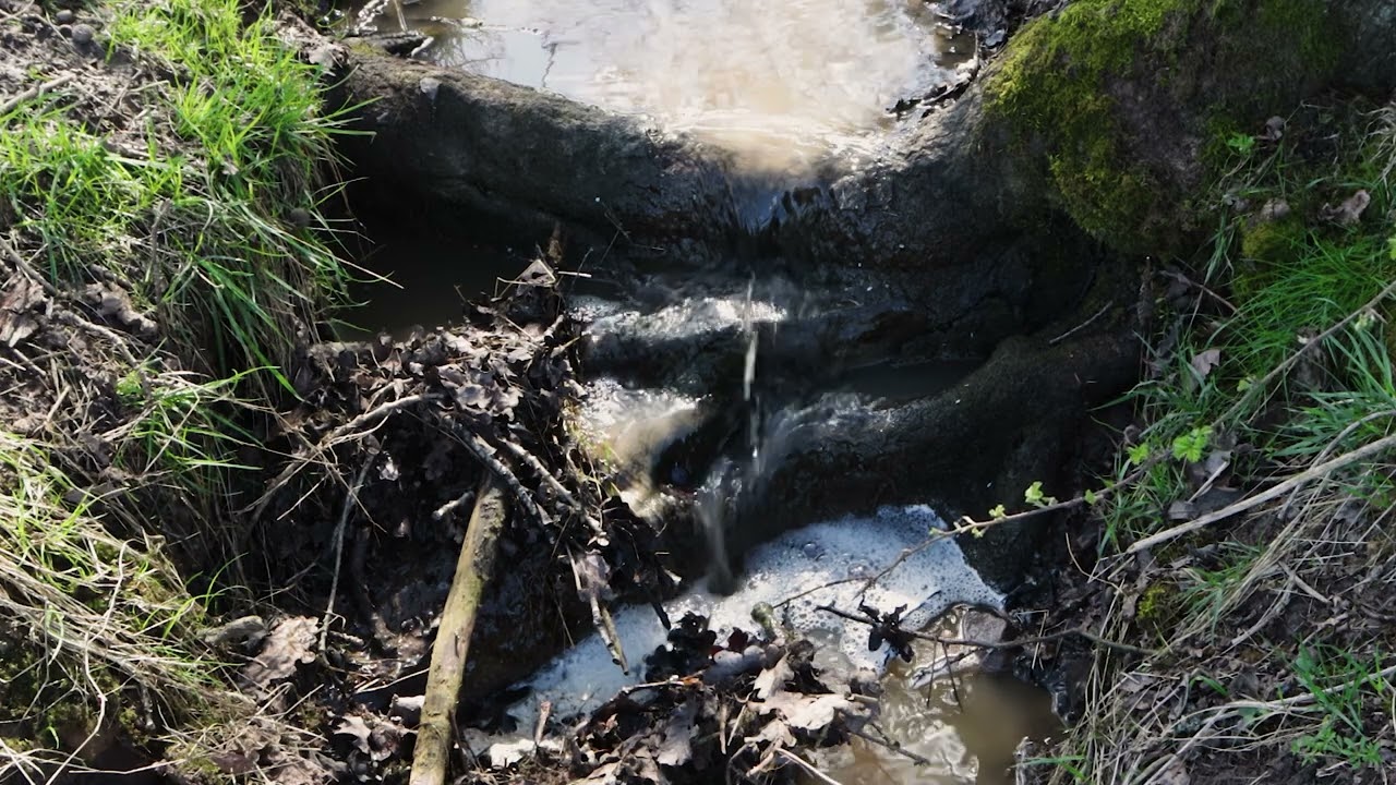 Soundscape of the trickling brook at Morgrove Coppice