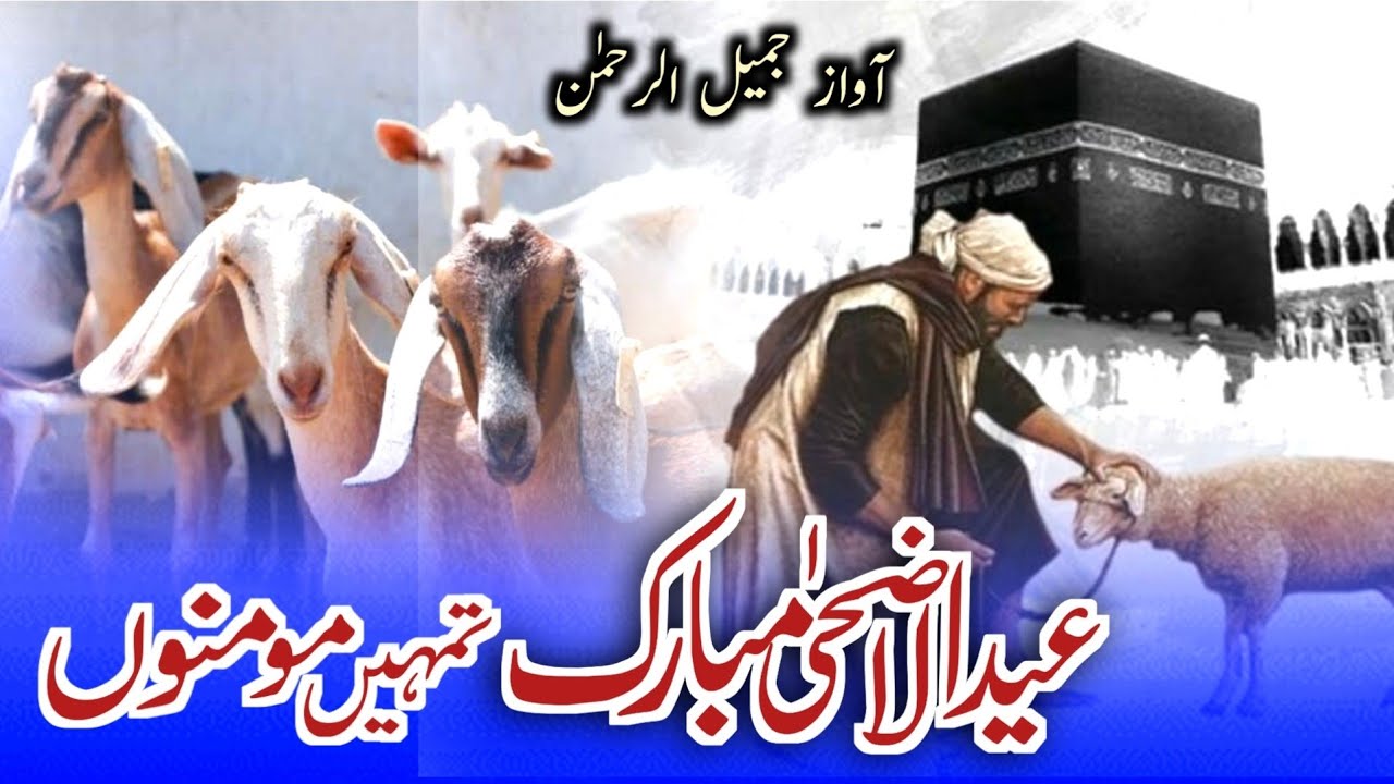 Bakra Eid Mubarak | Special Kalam | Eid ul Adha Mubarak Tumhe Momino |