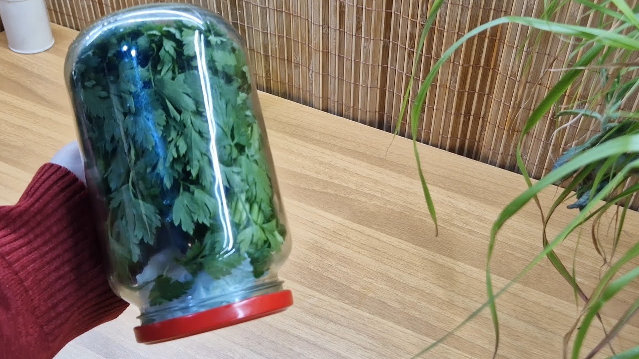 كيفاش تحتفظي على  لحشيش  لمدة  طويلة/طريقة  مضمونة/comment conserver les herbes  pour longtemps 