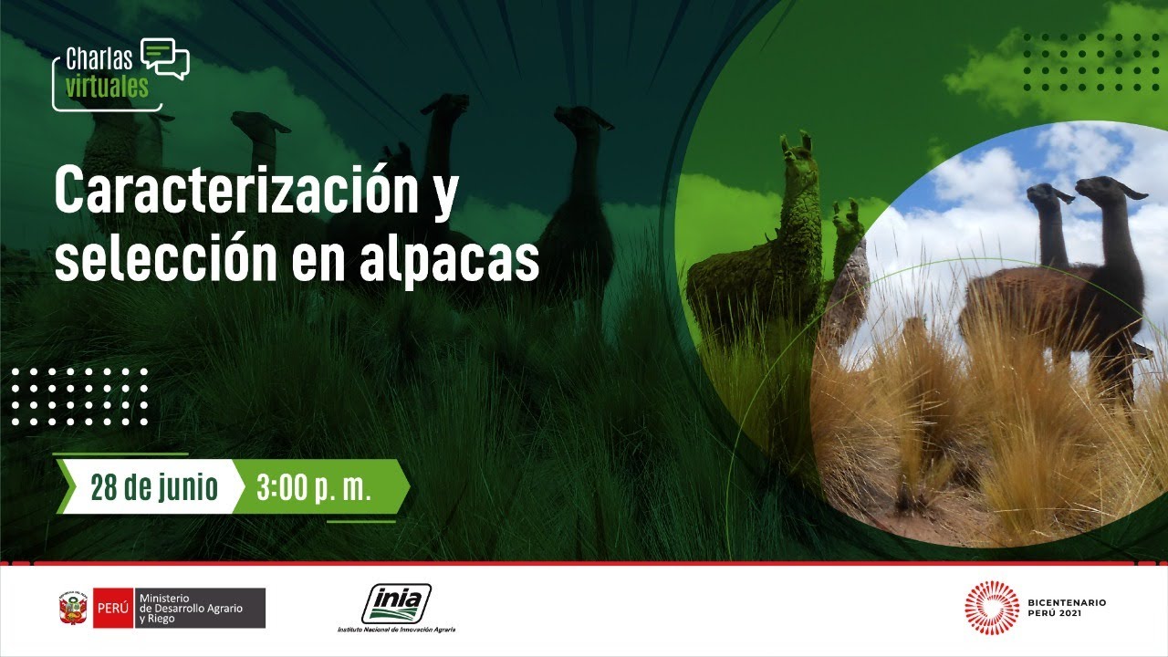 Caracterización y selección en alpacas