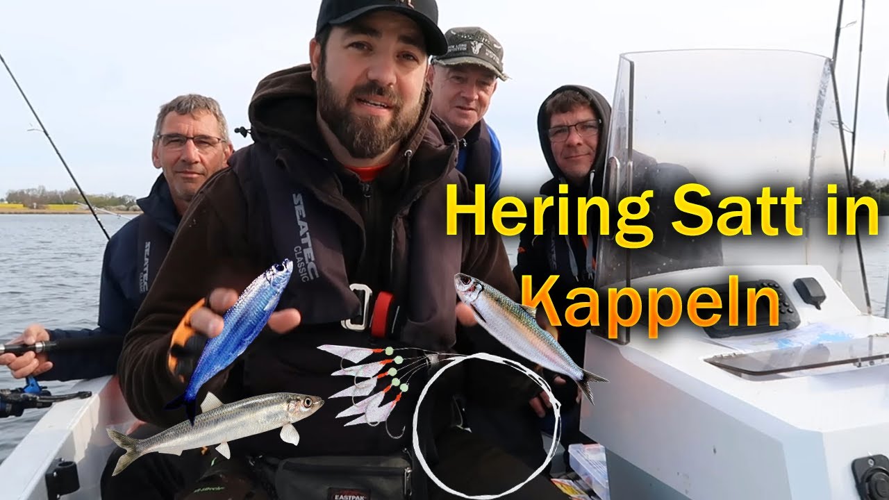 Herings Angeln vom Boot mit Paternoster in Kappel auf der Schlei ein geiler Tag mit Freunden