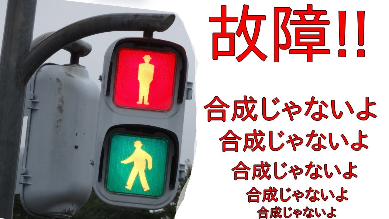 信号機制御機が故障した！歩行者信号機青赤同時点灯！合成とかコラージュじゃないよ　某交通公園より